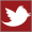 Department of Sociology twitter account