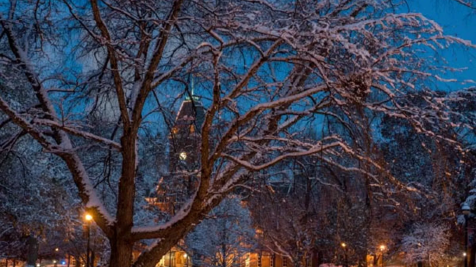 evening photo of the Oval and University Hall in winter time