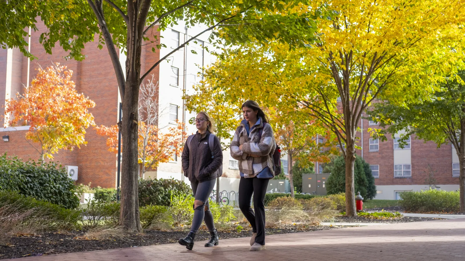 two students walking across campus in Autumn