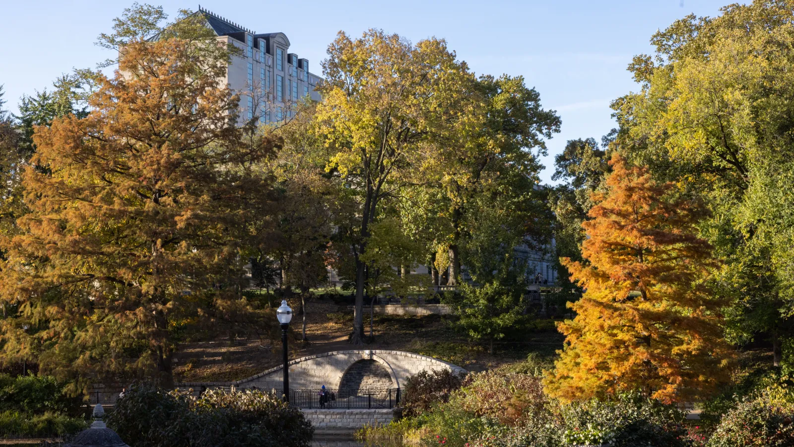 Autumn leaves in front of Mirror Lake outlook and Thompson Hall