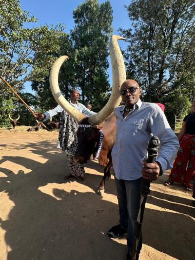 Sidney Williams with cattle in Rwanda