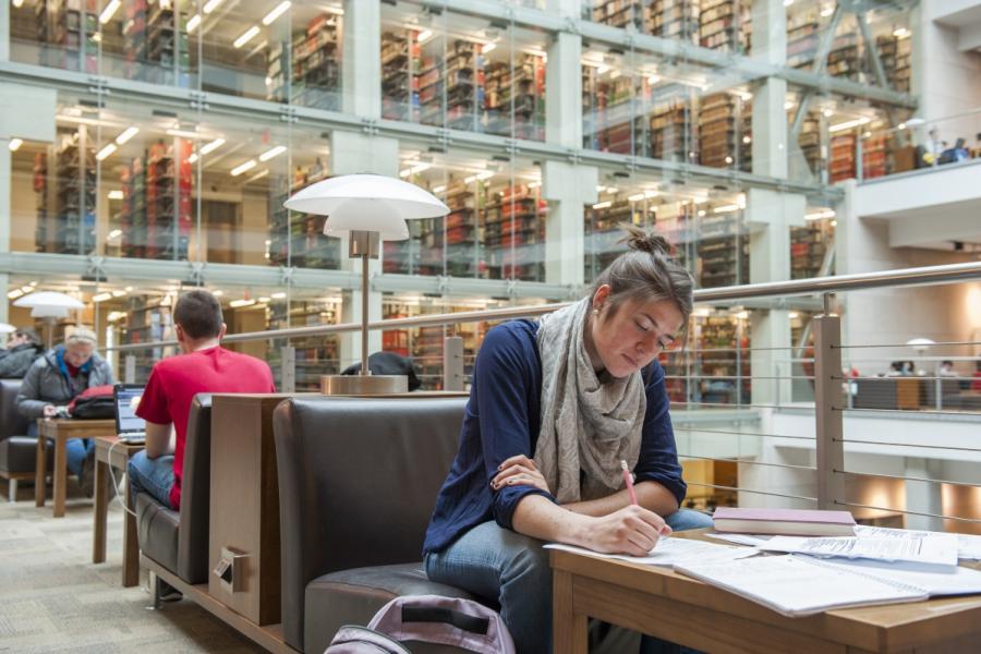 People studying in a library