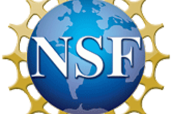 NSF Logo