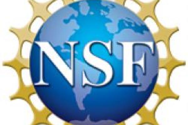 NSF Logo